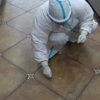 鸡你太美你太美1头像