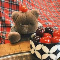 聪慧山雀cyK头像