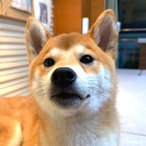 卓余家