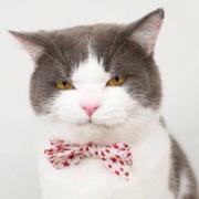 欲无言的个人资料头像