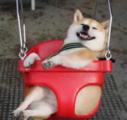 yzstrive的个人资料头像