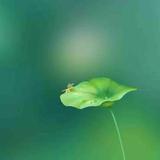 苍古45头像
