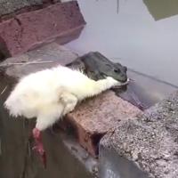 用户3385264604389头像