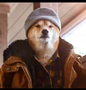 明月当空照的个人资料头像