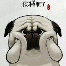 啤酒泡泡00的个人资料头像