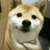 啊珜头像