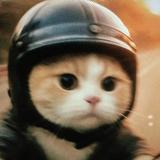 迪卡乐的小车头像