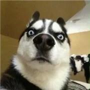 贺冬升的个人资料头像