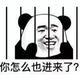 朴实湖泊Z7头像