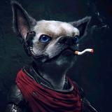 骑着二哈兜风头像