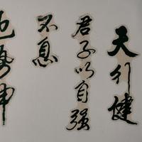 雄舍头像