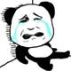 dxs小熊头像