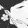 岳战岳勇汽车服务部头像