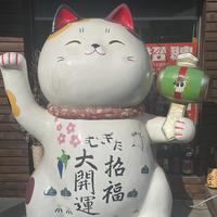 用户1369153956292头像