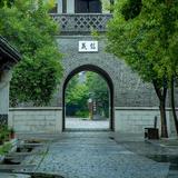 风趣的自由梦想n4头像