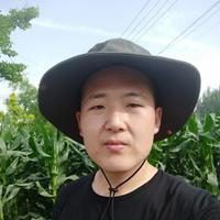 左美峰头像
