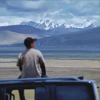 聪明东兴7f头像