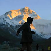 陈可乐的个人资料头像