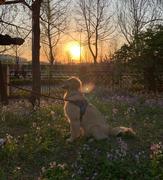 嫖十五郎的个人资料头像