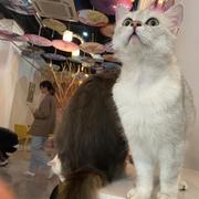 Cx330146的个人资料头像