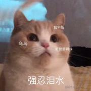 用户8441528294205的个人资料头像