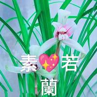 緣來是註定雲淡風輕头像