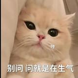 06酒酒头像