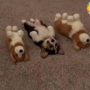 real1001的个人资料头像