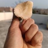活泼小沐头像