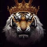 淡定山丘vn头像