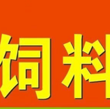 饲料厂家饲盟夏飞头像