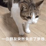 孤月星戾头像