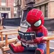 Curry308的个人资料头像