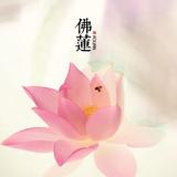 東寳0409头像