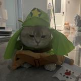 不凡的一只馋猫头像