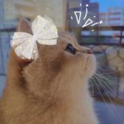 抖动的云的个人资料头像