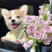 谁是凶手1703的个人资料头像