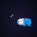 深海里的星1的个人资料头像