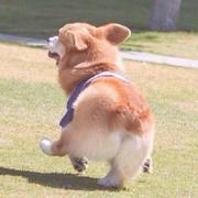 koood的个人资料头像