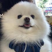 汪帅ooooooo的个人资料头像