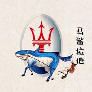 马鲨拉地的个人资料头像