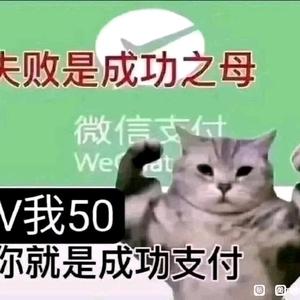 成功支付的老瘤头像