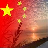 老衲说什么来着头像