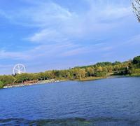 凉遇初安123头像