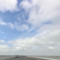 年年好喜庆用品头像