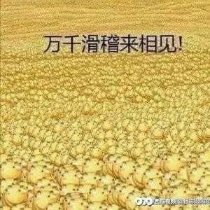 一位玩游戏小学生头像