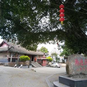 粤东聆雨居士头像