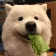 玲小珑的个人资料头像