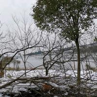 苏A天天吃鸡头像