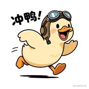 代码不出bug的个人资料头像